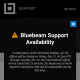 Bluebeam Revu phone support on Christmas Eve 2018