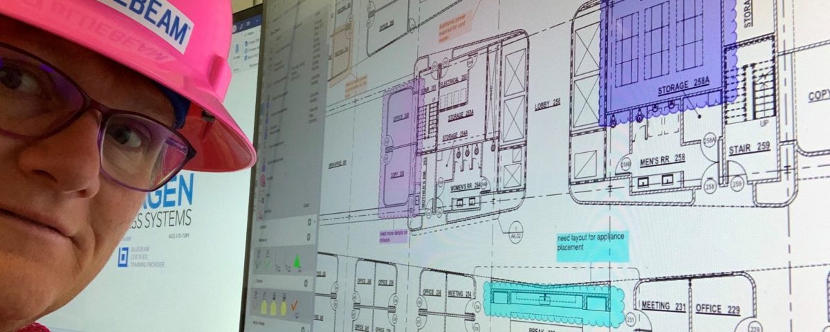 Bluebeam Revu Web Training - Cheryl Kay Instructor